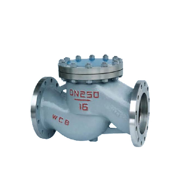 Valve types and their appearance pictures - check valves