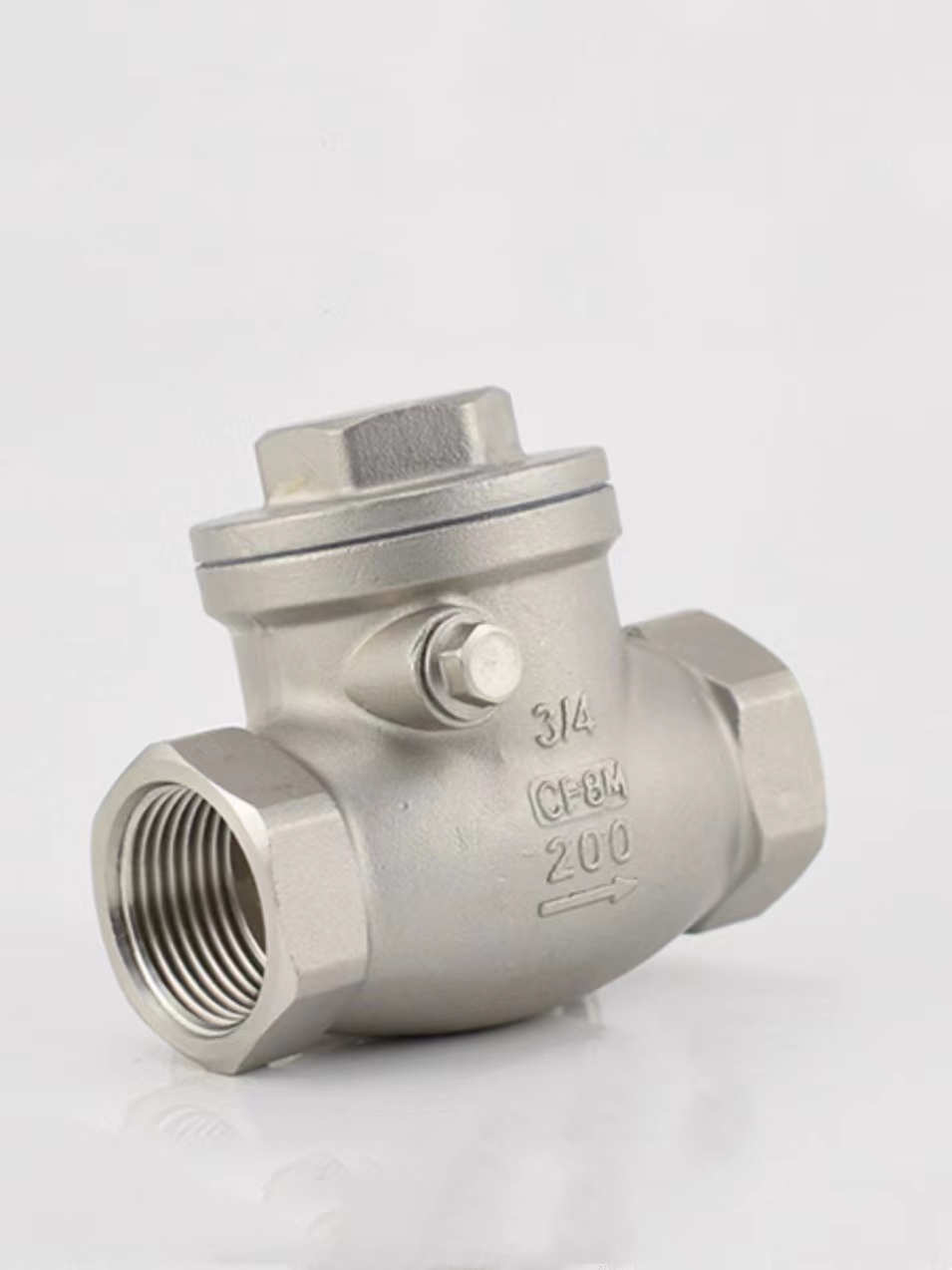 Check Valve Market: A Closer Look at Growth, Trends, and Challenges in 2025